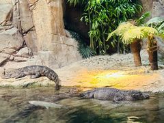 -上海海洋水族馆