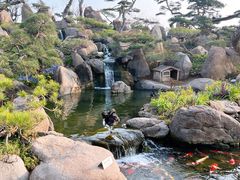 -罗红摄影艺术馆