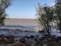 -上海吴淞炮台湾国家湿地公园