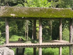 -碧峰峡风景区