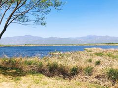 -野鸭湖国家湿地公园