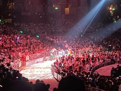 -广州长隆国际大马戏