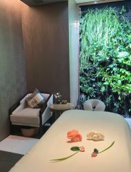 -VELEE·SPA高定疗愈会所