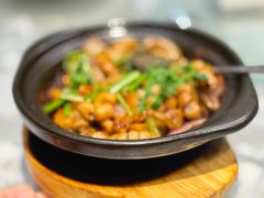 -朱记乳鸽王·非遗石岐乳鸽·全鸽宴(大兴旗舰店)