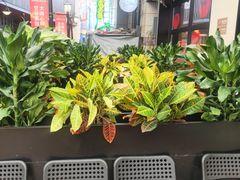 -KŌNG胶东小馆(华熙店)