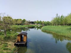 -养云安缦吧THE BAR