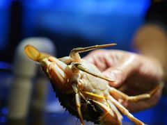 -V-ONE西雅图海鲜自助餐厅(仓山万达广场店)