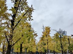 -百林公园-两江幸福广场