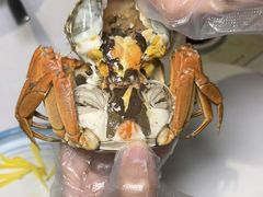 -徐记海鲜(大明宫|北二环店)