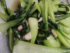 -小四川菜馆(托乐嘉店)