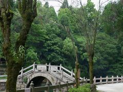 -玉苍山国家森林公园