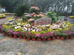 -岳麓山风景名胜区