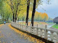 -汉长安城未央宫国家考古遗址公园