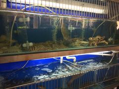 水产区-雅憩花园餐厅