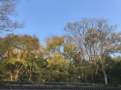 -秋霞圃