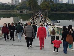 -南宁南湖公园