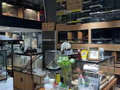 -酷以爬仙阁实体爬宠店·守宫·蜥蜴·专业繁育