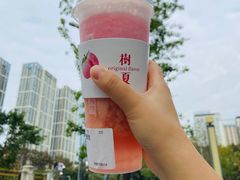 -树夏(建设路店)