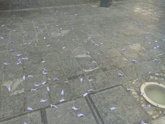 -南屏步行街