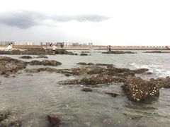 -冠头岭