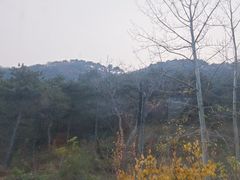 -龙云山风景区-鹿皮关长城