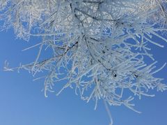 android_upload_pic-雾凇岛