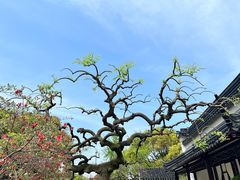 -苏州上方山国家森林公园