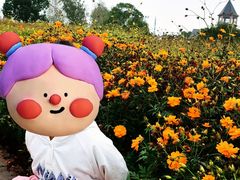 -花博汇(知音花月夜)