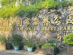 -四明山国家森林公园