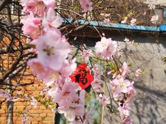 -山东师范大学(千佛山校区)