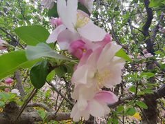 -元大都城垣遗址公园