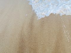 -玫瑰海岸文化旅游度假区