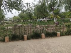 -绿堤公园