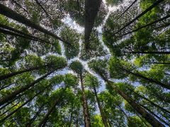 -山王坪喀斯特国家生态公园