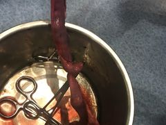 -伟伟宠物医院·CT影像中心·瑞派犬猫综合性门诊(汉口总院)