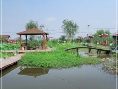 -同銮特种养殖场·龙虾垂钓