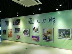 -上海昆虫博物馆
