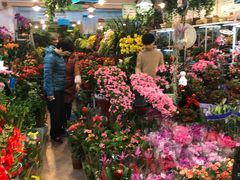 -双季花艺园艺市场(浦东店)