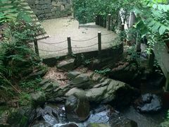 -藏龙百瀑风景区