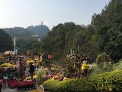 -南山植物园