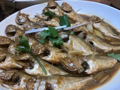 胖头鱼-渔家颂歌渔家味道(青石路店)