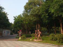 -王借岗森林公园