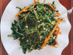 拌野菜-丽泽山庄·生态怀柔菜·虹鳟鱼(红螺寺店)