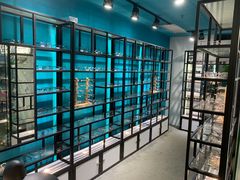 -Trend1881视光·蔡司视觉(领展广场店)