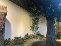 -大唐贡茶院