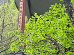 -融水老君洞景区