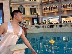-澳门威尼斯人综合度假区