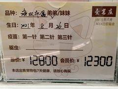 -1013 PET SHOP精品宠物商店(丁香店)