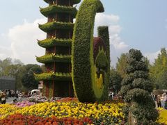 -重庆园博园