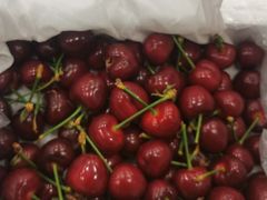 -北京鸿华高尔夫练习场
